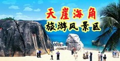 体内谢Ⅹ视频海南三亚-天崖海角旅游风景区